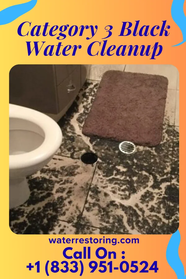 Category 3 Black Water Cleanup in Vienna, MD