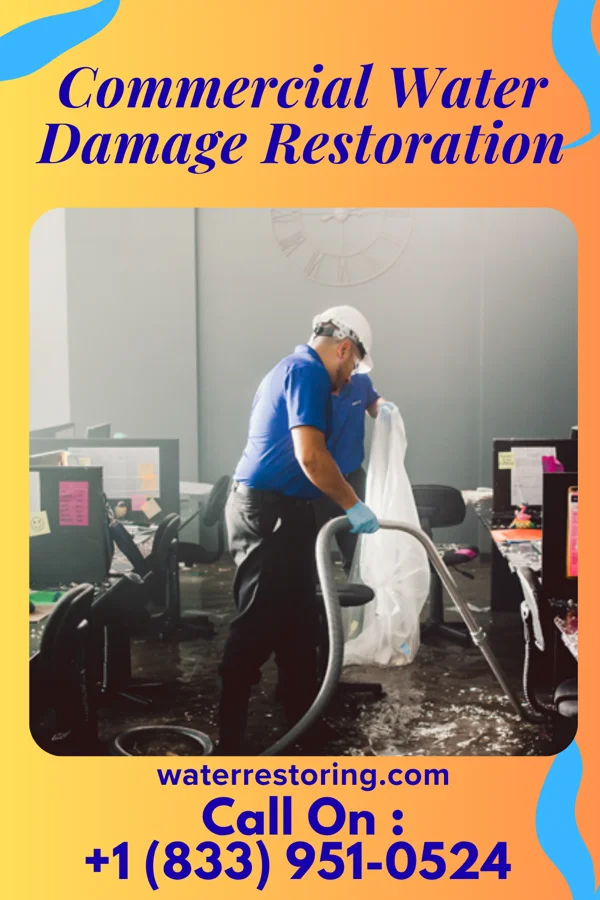 Commercial Water Damage Restoration in Vienna, MD