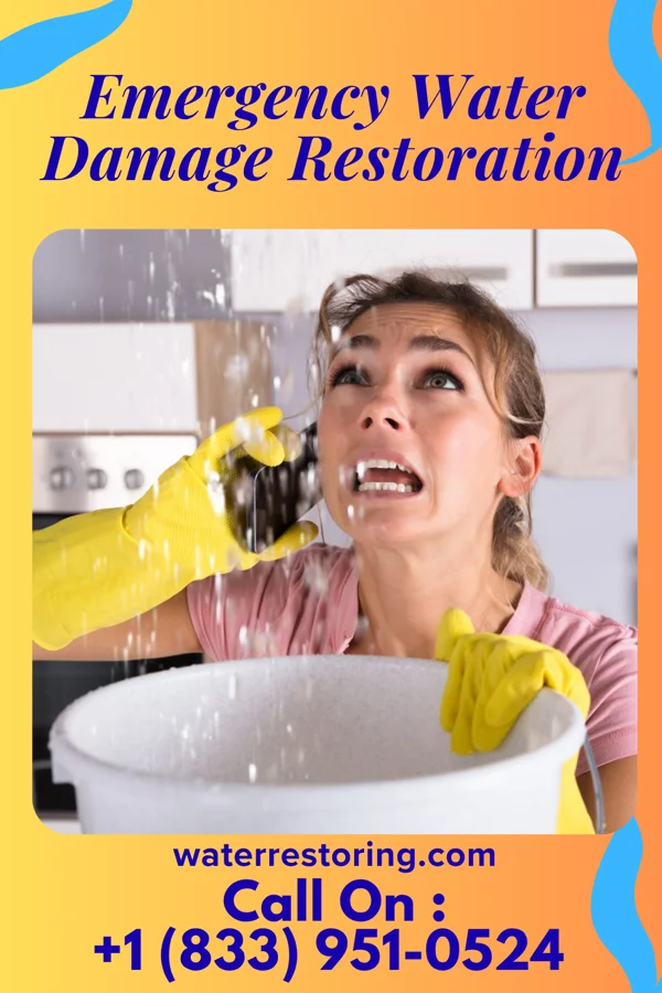 Emergency Water Damage Restoration in Vienna, MD