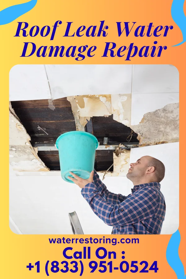 Roof Leak Water Damage Repair in Vienna, MD