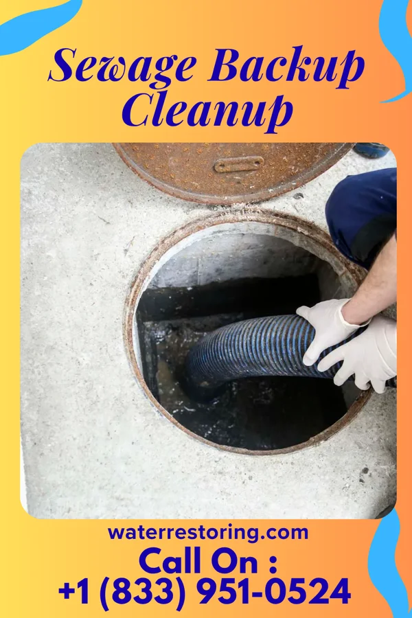 Sewage Backup Cleanup in Vienna, MD