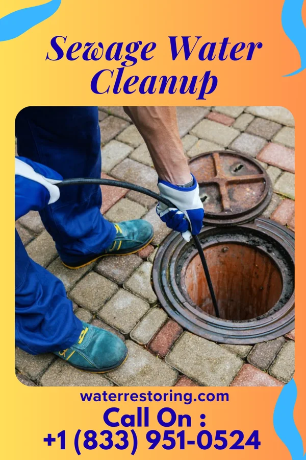 Sewage Water Cleanup in Vienna, MD