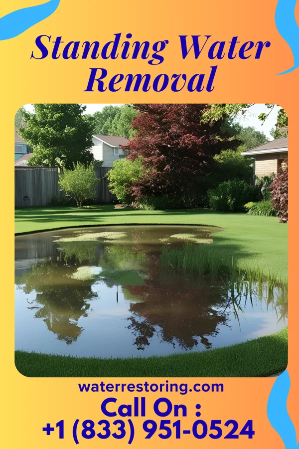 Standing Water Removal in Vienna, MD